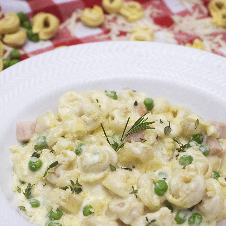 MACARRÃO AO MOLHO DE PARMESÃO